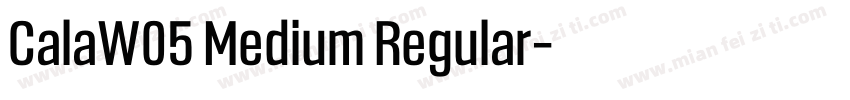 CalaW05 Medium Regular字体转换